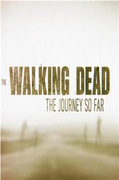 The Walking Dead: The Journey So Far观看